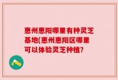 惠州惠阳哪里有种灵芝基地(惠州惠阳区哪里可以体验灵芝种植？