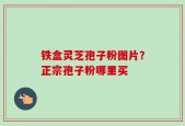 铁盒灵芝孢子粉图片？正宗孢子粉哪里买