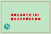 武香万延灵芝孢子粉？香菇该怎么栽培与管理
