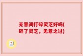 无意间打碎灵芝好吗(碎了灵芝，无意之过)
