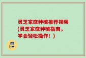 灵芝家庭种植推荐视频(灵芝家庭种植指南，学会轻松操作！)