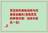 灵芝的作用和功效与作用禁忌图片(发现灵芝的神奇作用：功效与禁忌一览)
