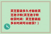 灵芝套袋多久才能收灵芝孢子粉(灵芝孢子粉收获时间：灵芝套袋后多长时间可以收获？)