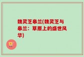 魏灵芝皋兰(魏灵芝与皋兰：草原上的盛世风华)