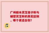 广州椴木灵芝孢子粉与破壁灵芝粉的真实区别，哪个更适合你？