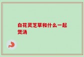 白花灵芝草和什么一起煲汤