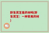 野生灵芝是药材吗(野生灵芝：一种常用药材)