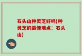 石头山种灵芝好吗(种灵芝的最佳地点：石头山)