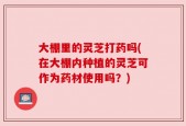大棚里的灵芝打药吗(在大棚内种植的灵芝可作为药材使用吗？)