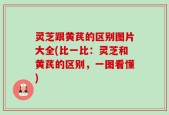 灵芝跟黄芪的区别图片大全(比一比：灵芝和黄芪的区别，一图看懂)