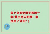 黄土高天见灵芝是哪一集(黄土高天的哪一集出现了灵芝？)
