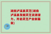 湖南泸溪县灵芝(湖南泸溪县发掘灵芝资源潜力，开启灵芝产业新篇章)