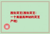 西街灵芝(西街灵芝：一个美丽而神秘的灵芝产地)