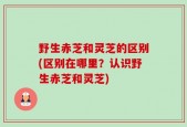 野生赤芝和灵芝的区别(区别在哪里？认识野生赤芝和灵芝)