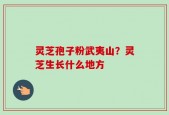 灵芝孢子粉武夷山？灵芝生长什么地方