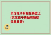 灵芝孢子粉粘在肠壁上(灵芝孢子粉黏附肠壁效果显著)