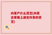 内蒙产什么灵芝(内蒙古草原上遇见珍贵的灵芝)