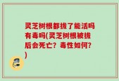 灵芝树根都拔了能活吗有毒吗(灵芝树根被拔后会死亡？毒性如何？)