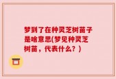 梦到了在种灵芝树苗子是啥意思(梦见种灵芝树苗，代表什么？)