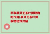 萃取黑灵芝茶叶提取物的作用(黑灵芝茶叶提取物功效详解