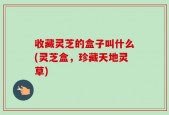 收藏灵芝的盒子叫什么(灵芝盒，珍藏天地灵草)