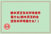 椴木灵芝生长环境条件是什么(椴木灵芝的合适生长环境是什么？)
