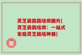 灵芝袋栽栽培房图片(灵芝袋栽培房：一站式家庭灵芝栽培神器)