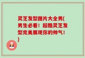 灵芝发型图片大全男(男生必看！超酷灵芝发型完美展现你的帅气！)