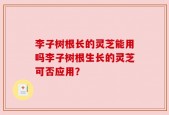 李子树根长的灵芝能用吗李子树根生长的灵芝可否应用？
