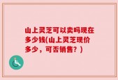 山上灵芝可以卖吗现在多少钱(山上灵芝现价多少，可否销售？)