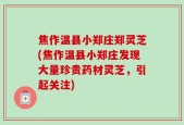 焦作温县小郑庄郑灵芝(焦作温县小郑庄发现大量珍贵药材灵芝，引起关注)