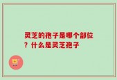 灵芝的孢子是哪个部位？什么是灵芝孢子