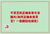 干灵芝的正确食用方法图片(如何正确食用灵芝？一张图轻松搞定)