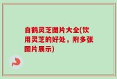 自鹤灵芝图片大全(饮用灵芝的好处，附多张图片展示)