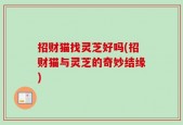 招财猫找灵芝好吗(招财猫与灵芝的奇妙结缘)