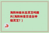 海防林能长出灵芝吗图片(海防林是否适合种植灵芝？)