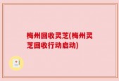 梅州回收灵芝(梅州灵芝回收行动启动)