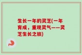 生长一年的灵芝(一年育成，重现灵气——灵芝生长之旅)