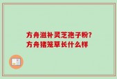 方舟滋补灵芝孢子粉？方舟猪笼草长什么样