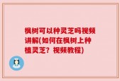 枫树可以种灵芝吗视频讲解(如何在枫树上种植灵芝？视频教程)
