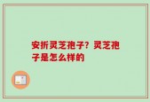 安折灵芝孢子？灵芝孢子是怎么样的
