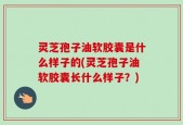 灵芝孢子油软胶囊是什么样子的(灵芝孢子油软胶囊长什么样子？)
