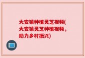 大安镇种植灵芝视频(大安镇灵芝种植视频，助力乡村振兴)