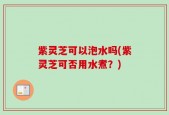 紫灵芝可以泡水吗(紫灵芝可否用水煮？)