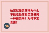仙芝就是灵芝吗为什么不能吃仙芝和灵芝是同一种菌类吗？为何不宜食用？