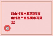 双山村双木耳灵芝(双山村出产高品质木耳灵芝)