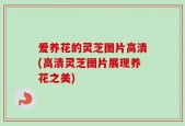 爱养花的灵芝图片高清(高清灵芝图片展现养花之美)