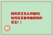 网购灵芝怎么种植的(如何在家里种植网购的灵芝？)