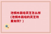 泡桐木栽培灵芝怎么样(泡桐木栽培的灵芝效果如何？)