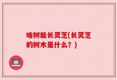 啥树能长灵芝(长灵芝的树木是什么？)